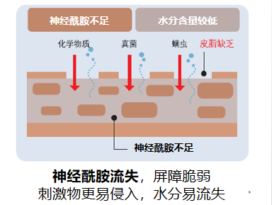 图示, 日程表

描述已自动生成