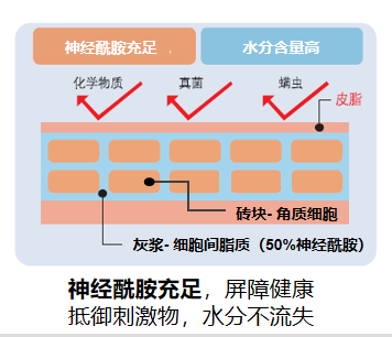 图示

描述已自动生成